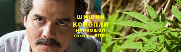 сатива Абинск