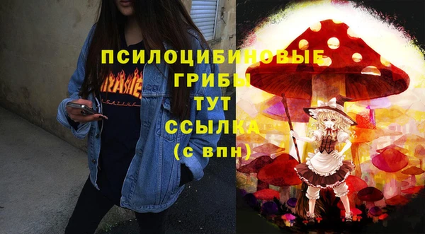 сатива Абинск