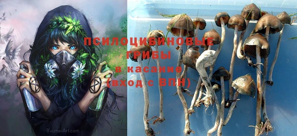 спиды Абаза